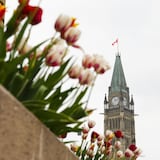 加拿大联邦政府 2021-2022 财政年度的赤字为 956 亿加元