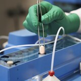 Dans un laboratoire, un chercheur tient une pilule dans une pince.