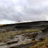 Une crevasse dans le sol expose une épaisse couche de terre riche en minéraux.