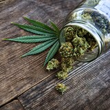 Pot de cannabis versé sur une table en bois.