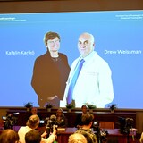 Katalin Kariko of Hungary, left, and Drew Weissman of the United States, right, are shown on a projected screen at the Karolinska Institute in Stockholm on Monday during the announcement of the winners of the 2023 Nobel Prize in Physiology or Medicine. 