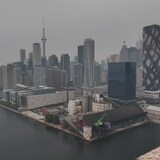 多伦多