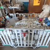 Un enfant dans un lit d'hôpital, entouré d'animaux en peluche.(Septembre 2023)