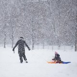 
A woman pulls a child in a sled through a park while it is snowing heavily.