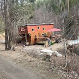 The Regional District of the Central Okanagan has ordered King to remove the tiny home structure from his property, saying it does not conform with B.C. building codes, safety standards or land use designations and is polluting land near a stream. 