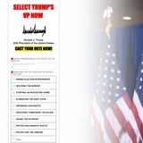 La page d'accueil du site de Donald Trump sur la course à la vice-présidence.