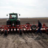 Un agronome dans une plantation de graines de betteraves sucrières en Ukraine.