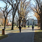 Le campus de l'Université de la Saskatchewan, à Saskatoon.