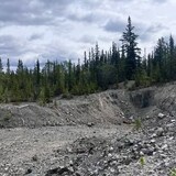 A picture of a gravely landscape with trees in the background. 