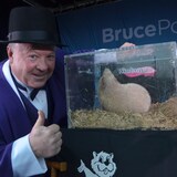 Wiarton Mayor Jay Kirkland announces an early spring with Wiarton Willie during a Groundhog Day event in Wiarton, Ont. on Friday, Feb.2, 2024. (Doug Ball/The Canadian Press)