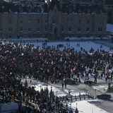 Manifestantes en Ottawa el 29 de enero de 2022.