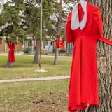 Une robe rouge sur un arbre.