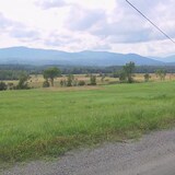 Un chemin bordé de forêt et de montagnes. 