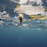 La mer Méditerranée, au large de la Corse, est victime d'une terrible pollution par les matières plastiques.