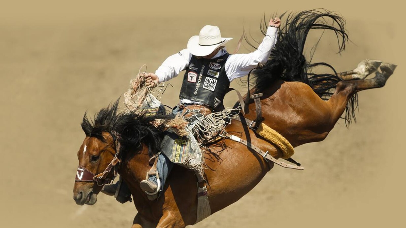 Le stampede de Calgary.