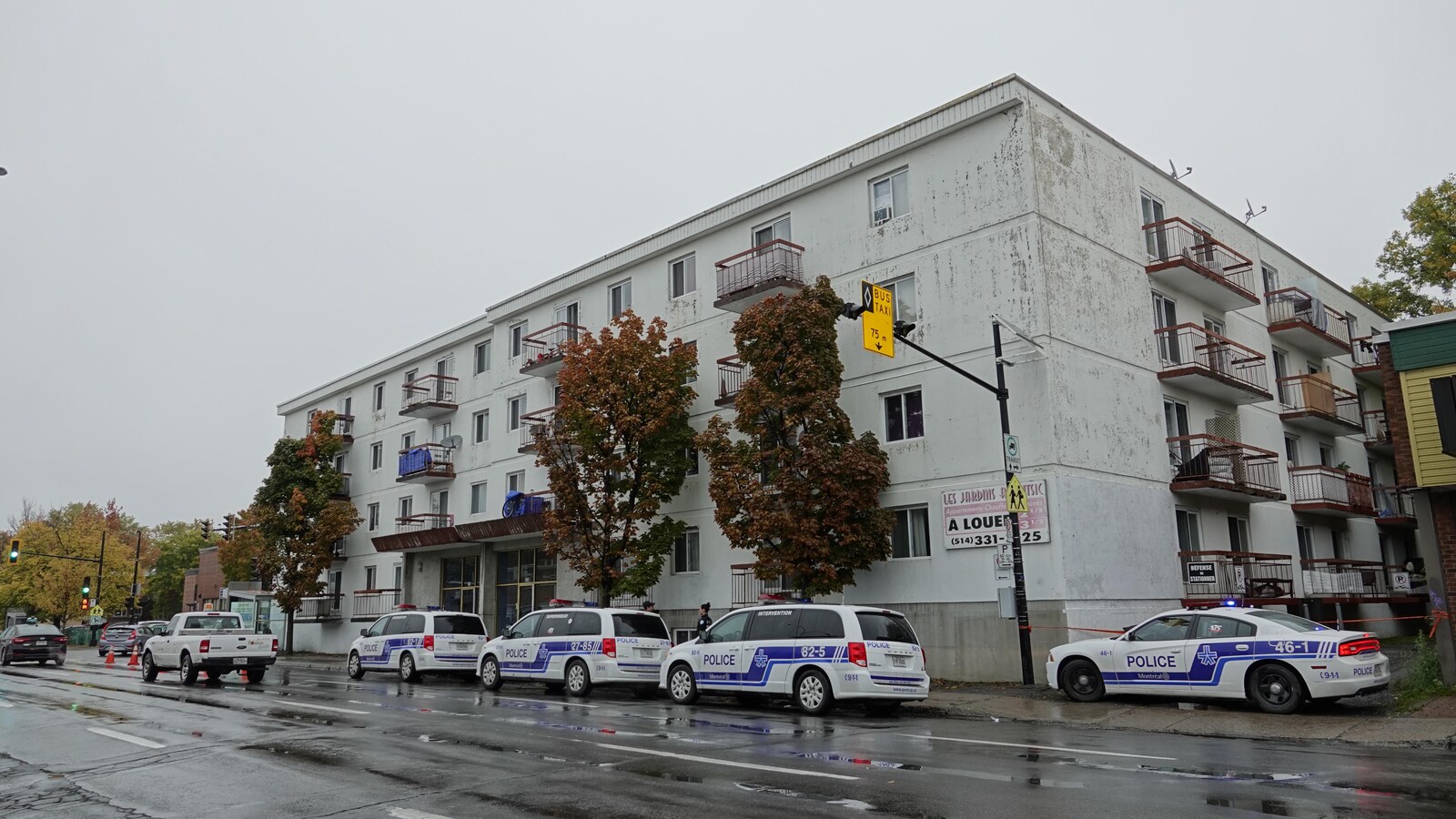 Quatre véhicules du Service de police de la Ville de Montréal devant un immeuble à logements.