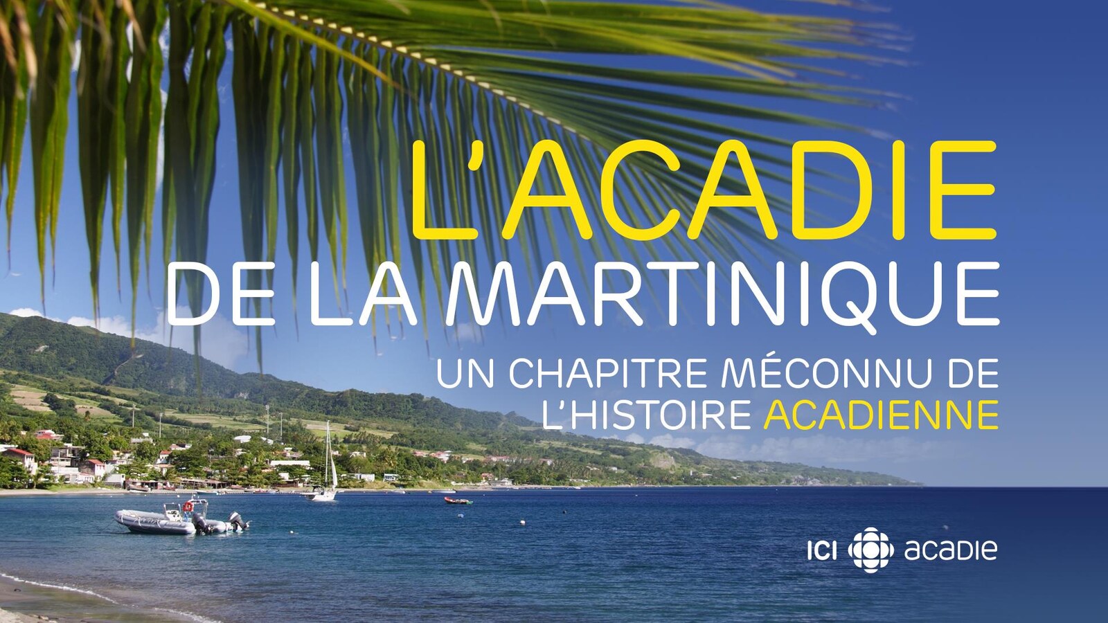 Infographie du titre de la page sur fond d'image d'une baie des Caraïbes.
