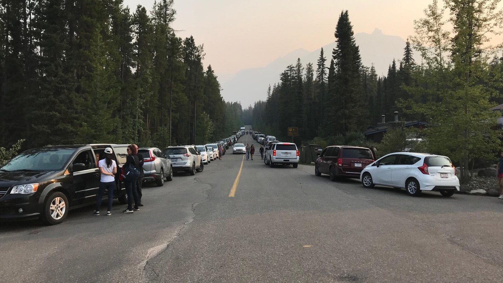 Vue sur des voitures stationnées en bordure de l'autoroute avec des arbres qui entourent la scène.
