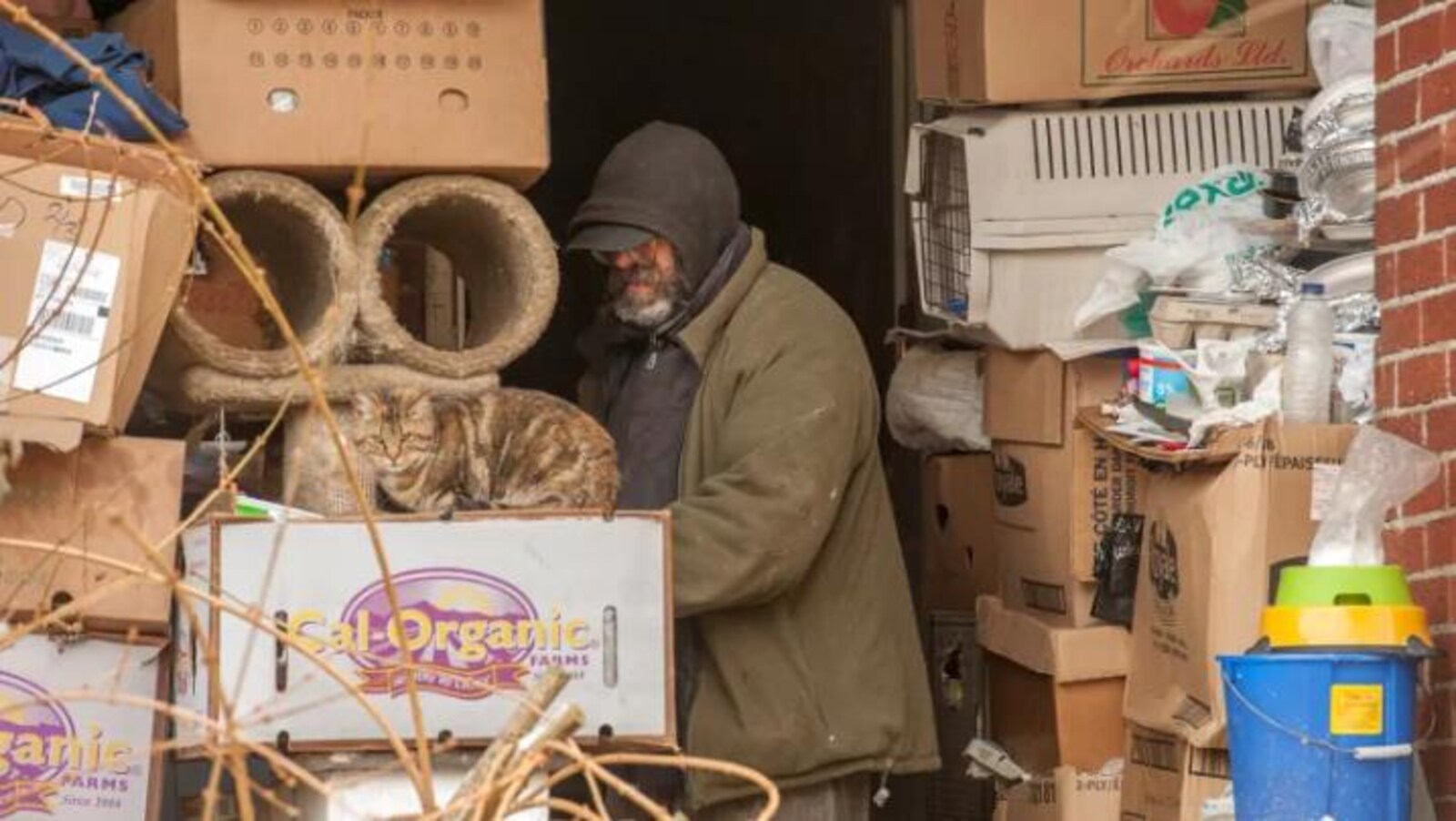 Sur cette photo d'archives, un homme parcourt des objets stockés dans une maison de Toronto et qui ont dû être nettoyés par les pompiers.