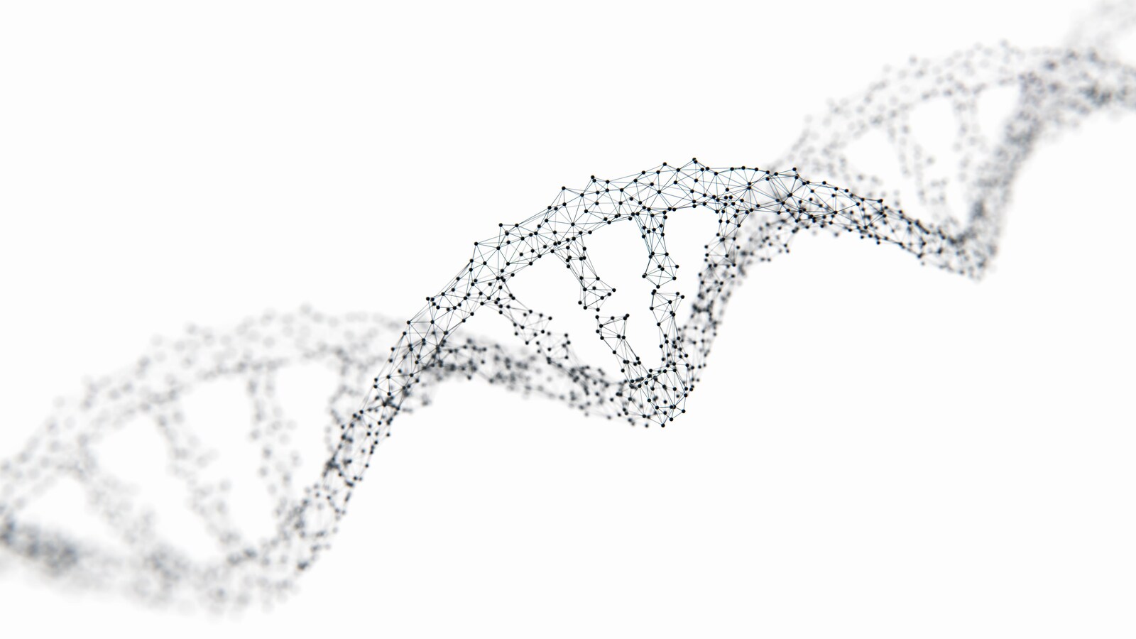 Un modèle de la structure à double-hélice de l'ADN humain.