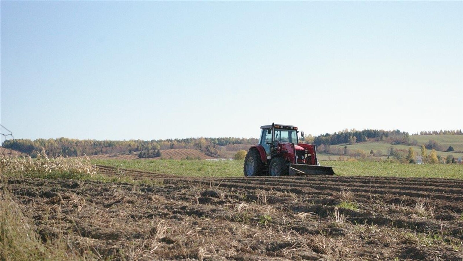Champs agricoles à Saint-Adelme, en Matanie, au Bas-Saint-Laurent.