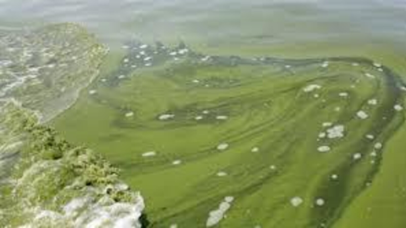 Eau contaminée