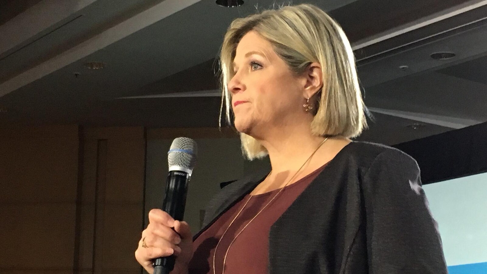Andrea Horwath