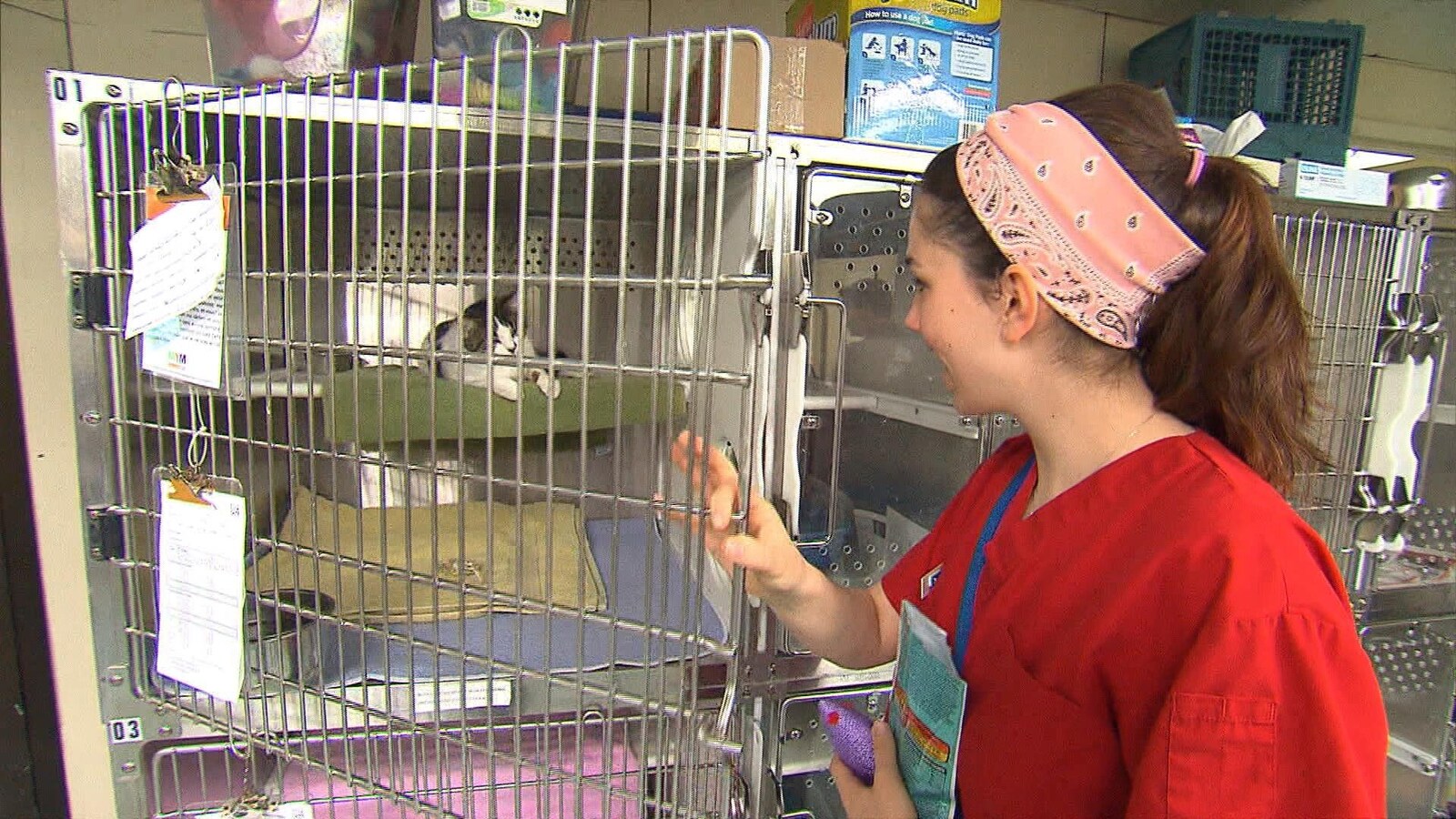Une femme et un chat.