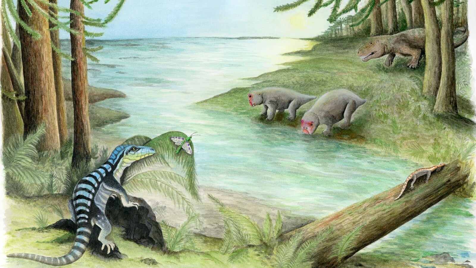 Une représentation d'artiste où l'Antarctanax Shackletoni est vue près d'une rivière, dans une forêt.