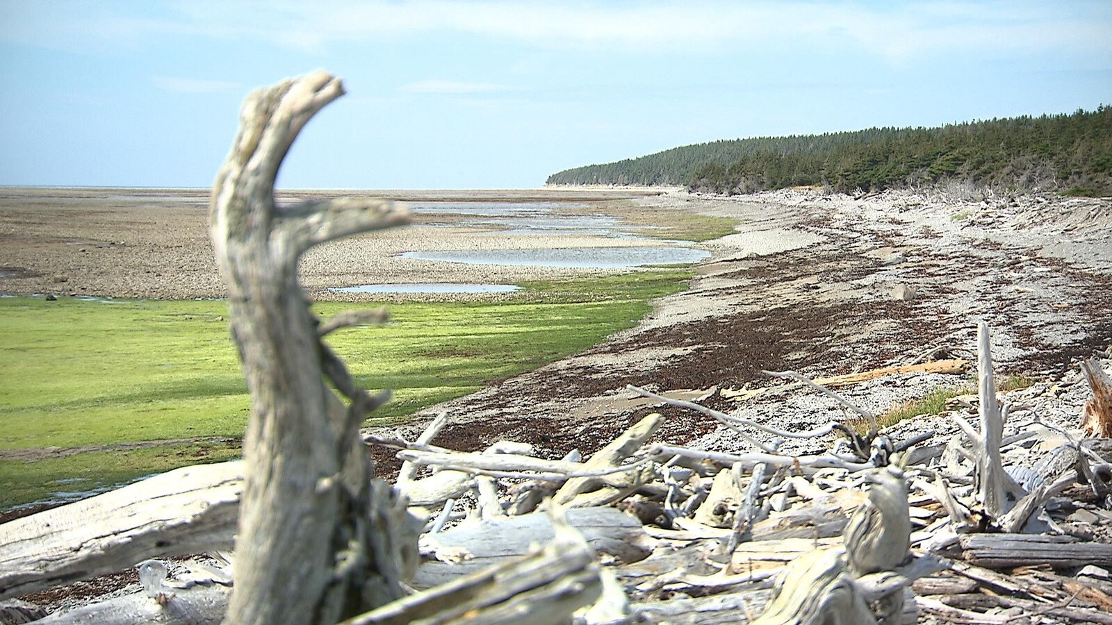 Traversier vers Anticosti deux municipalités dévitalisées veulent