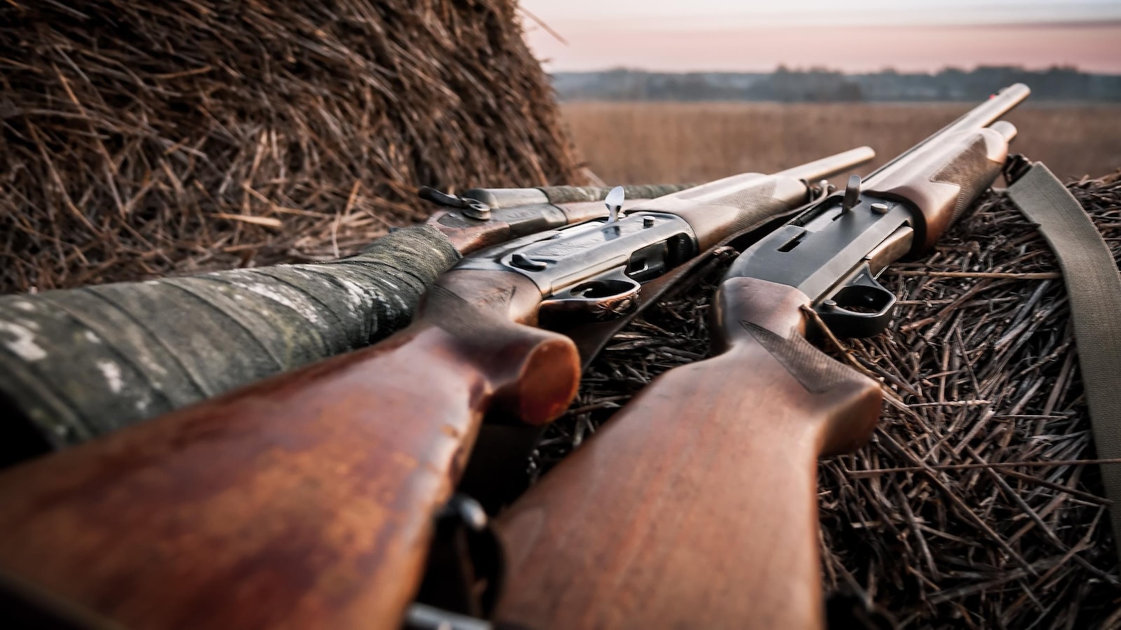 Des armes d'épaule sont déposées sur du foin.