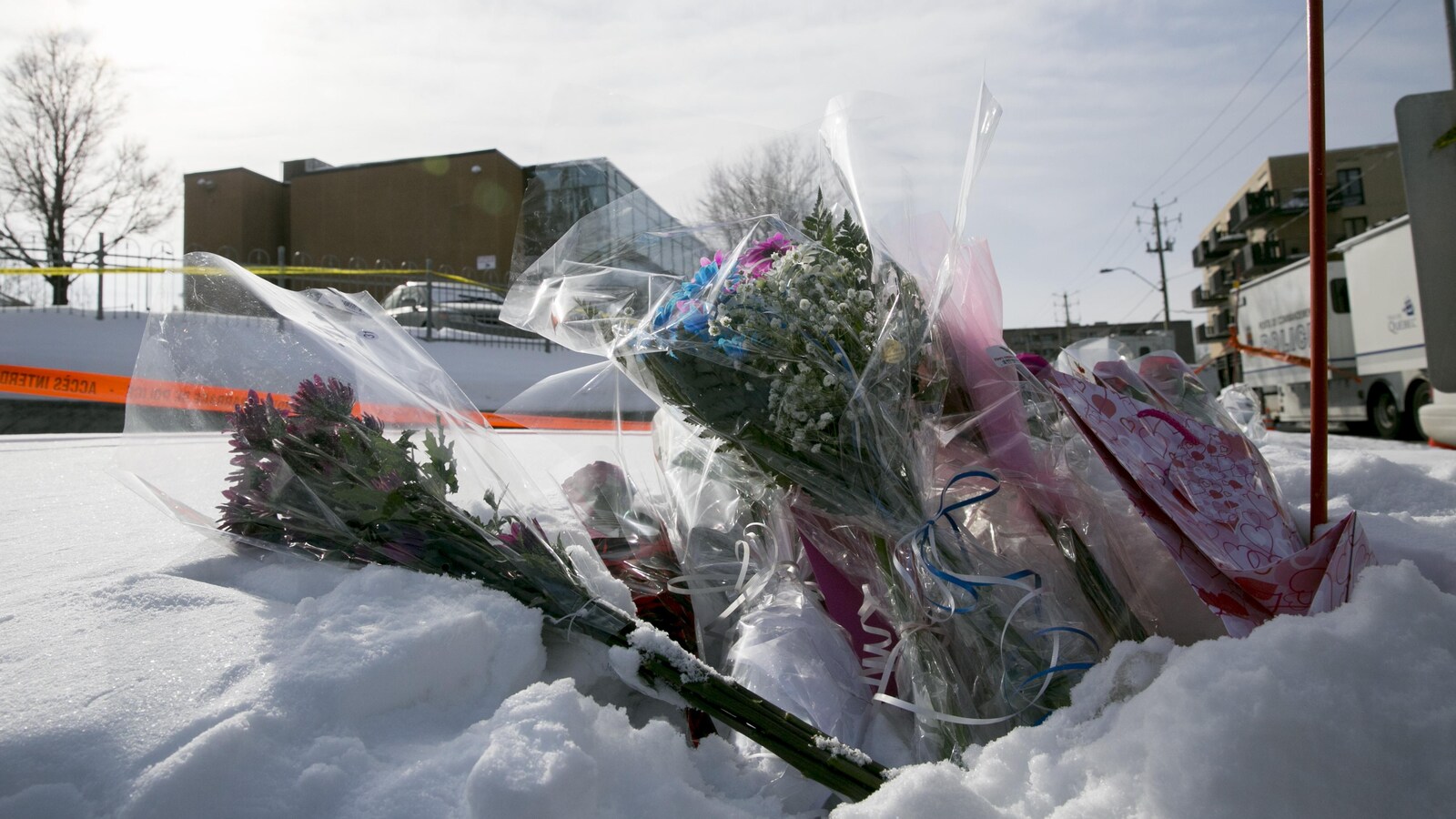 Des fleurs déposées devant le Centre culturel islamique de Québec au lendemain de la fusillade (archives)
