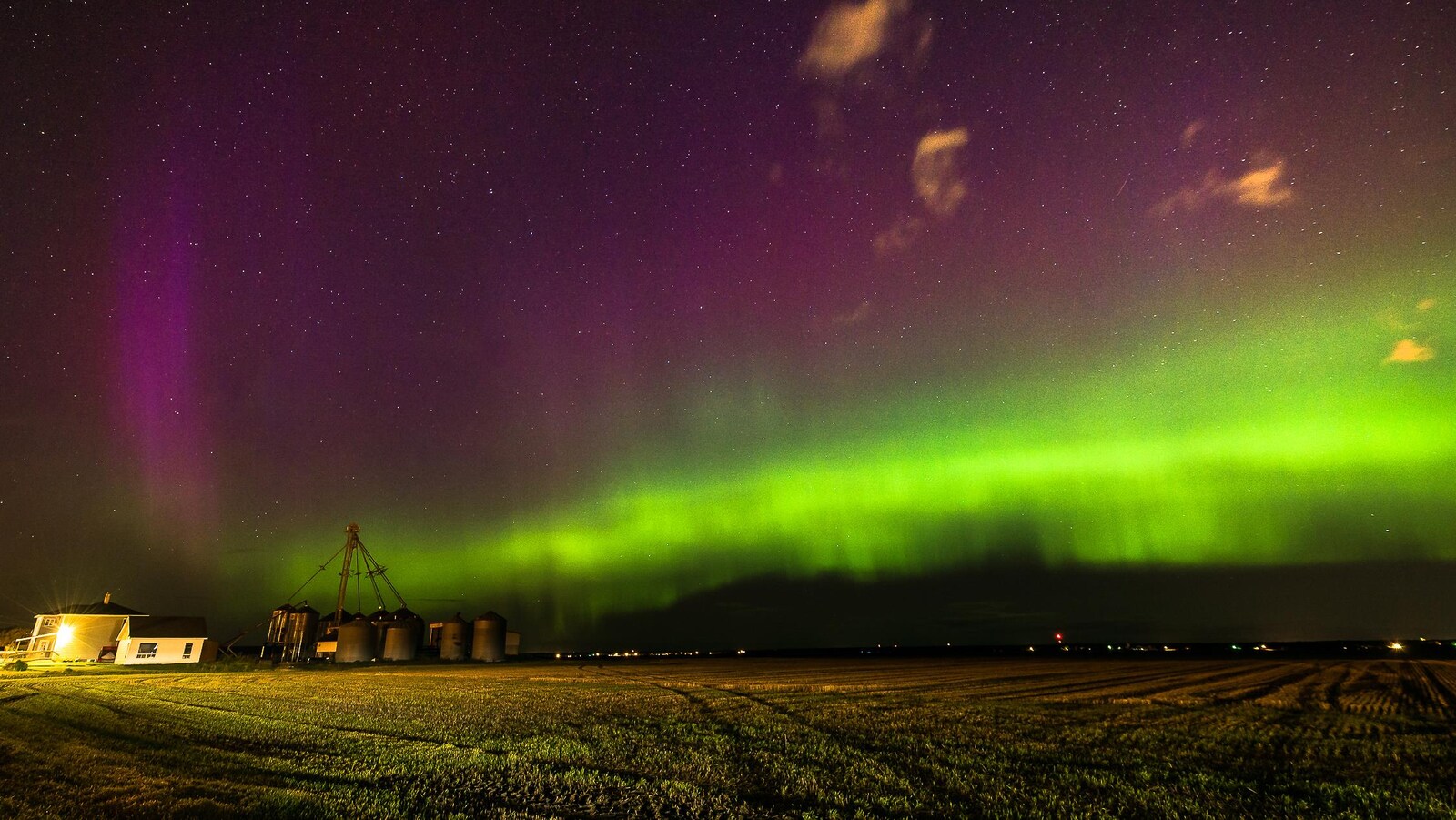 Des aurores boréales vues d'un champ agricole.