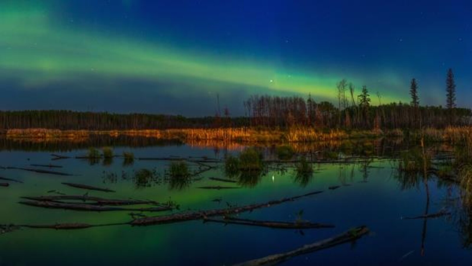 Aurores boréales vertes au-dessus d'un lac et d'une forêt. Reflet de l'aurore dans le lac.