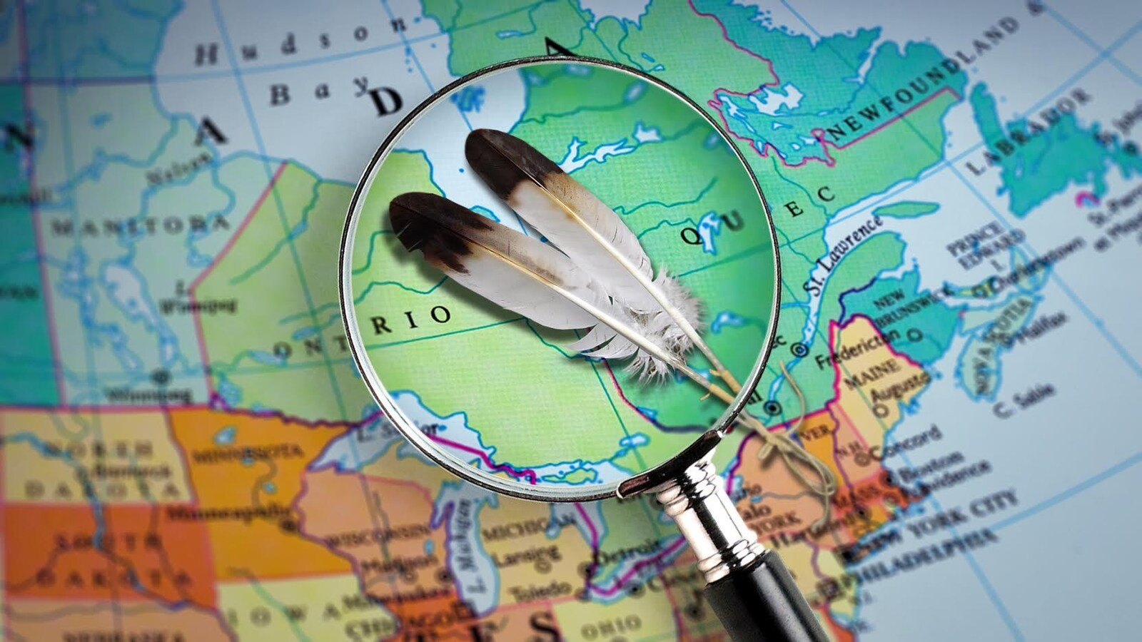 Des plumes vues à travers une loupe sur la carte du Canada.