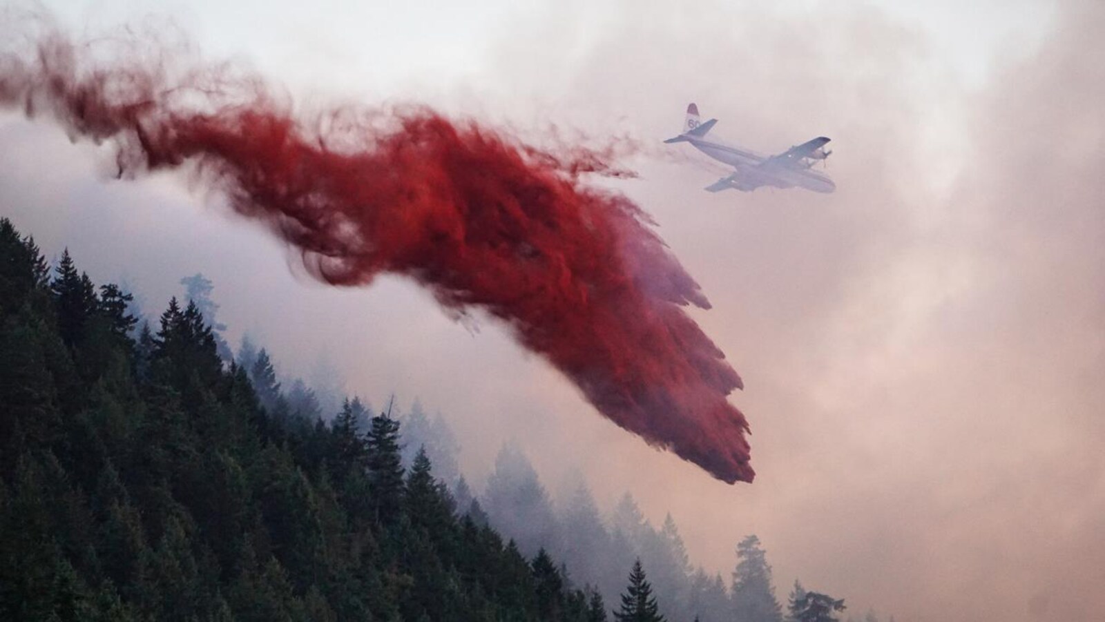 Un avion-citerne laisse tomber une substance rouge sur une forêt d'arbres le 24 juin 2019.