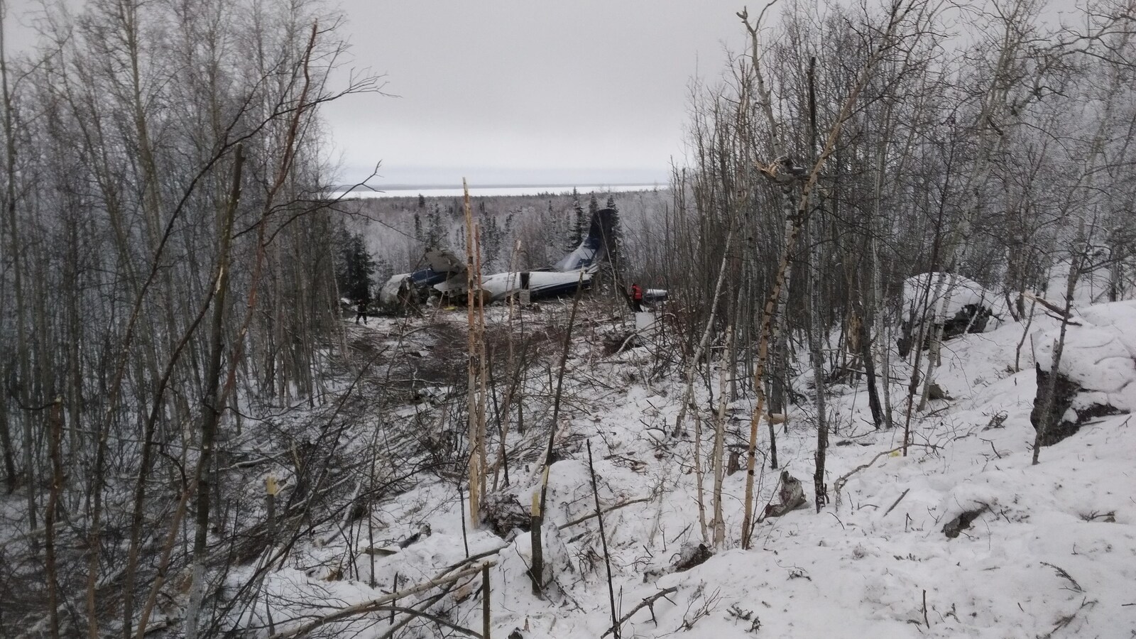 L'avion écrasé parmi les arbres.