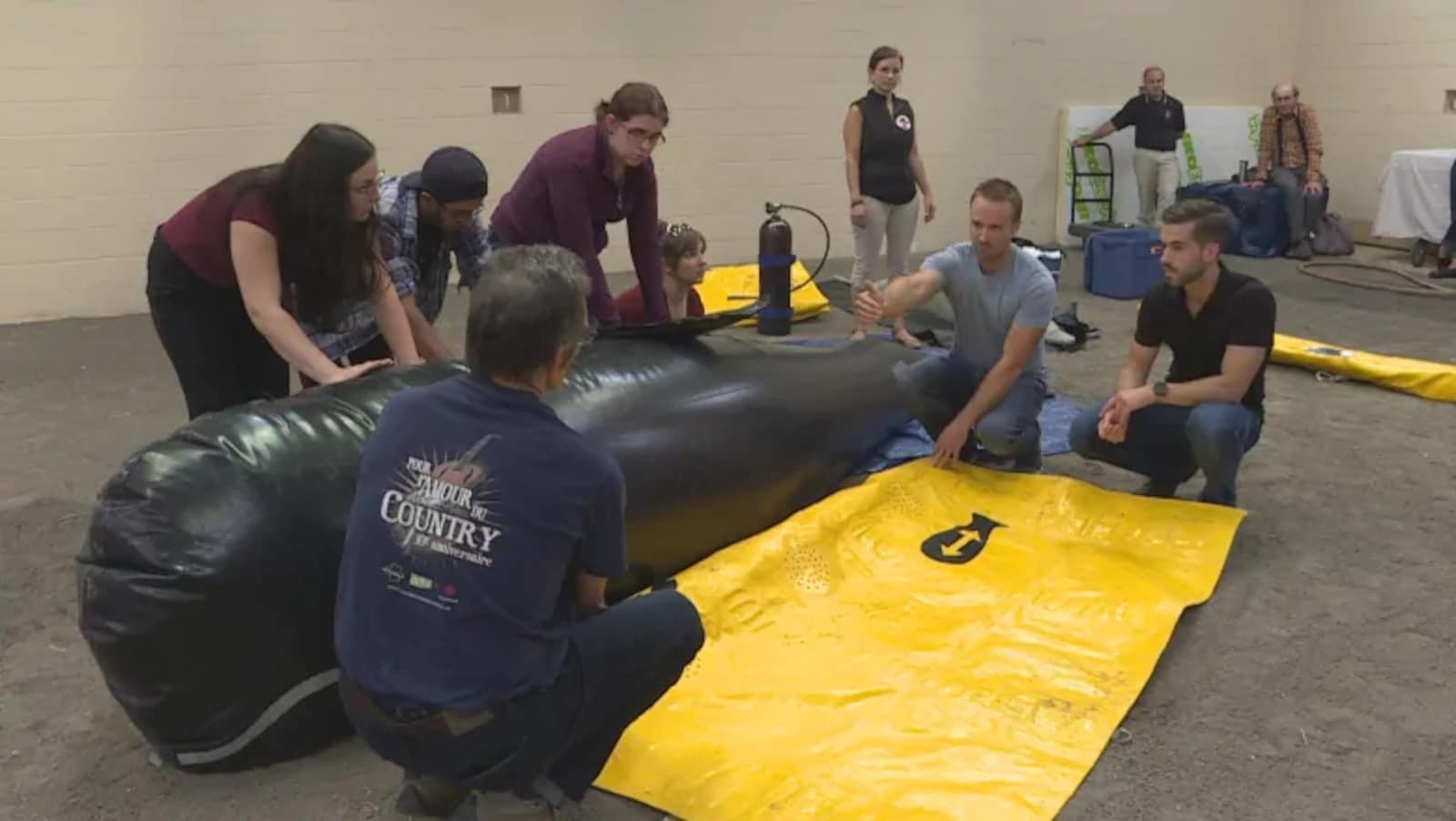 Des étudiants manipulent la baleine sous la supervision d'un enseignant.