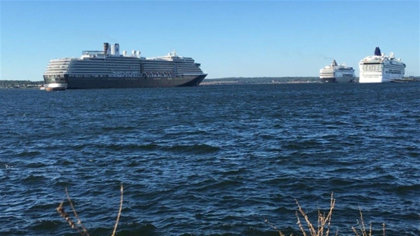 Des bateaux de croisière dans le port de Charlottetown, à l'Île-du-Prince-Édouard