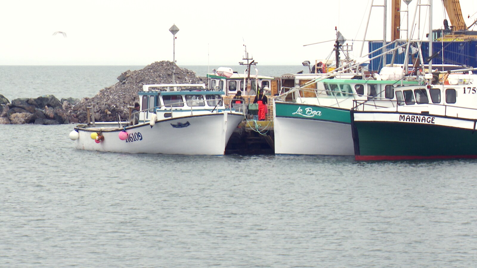 Des bateaux de pêche amarrés à un quai