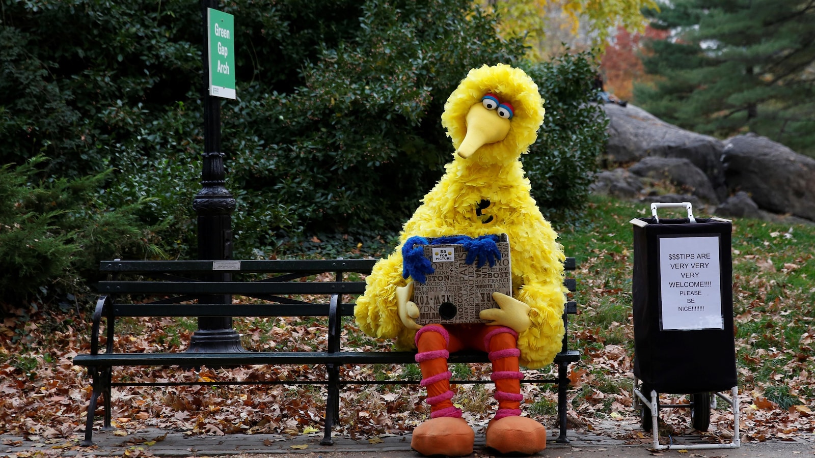 Big bird dans Central park