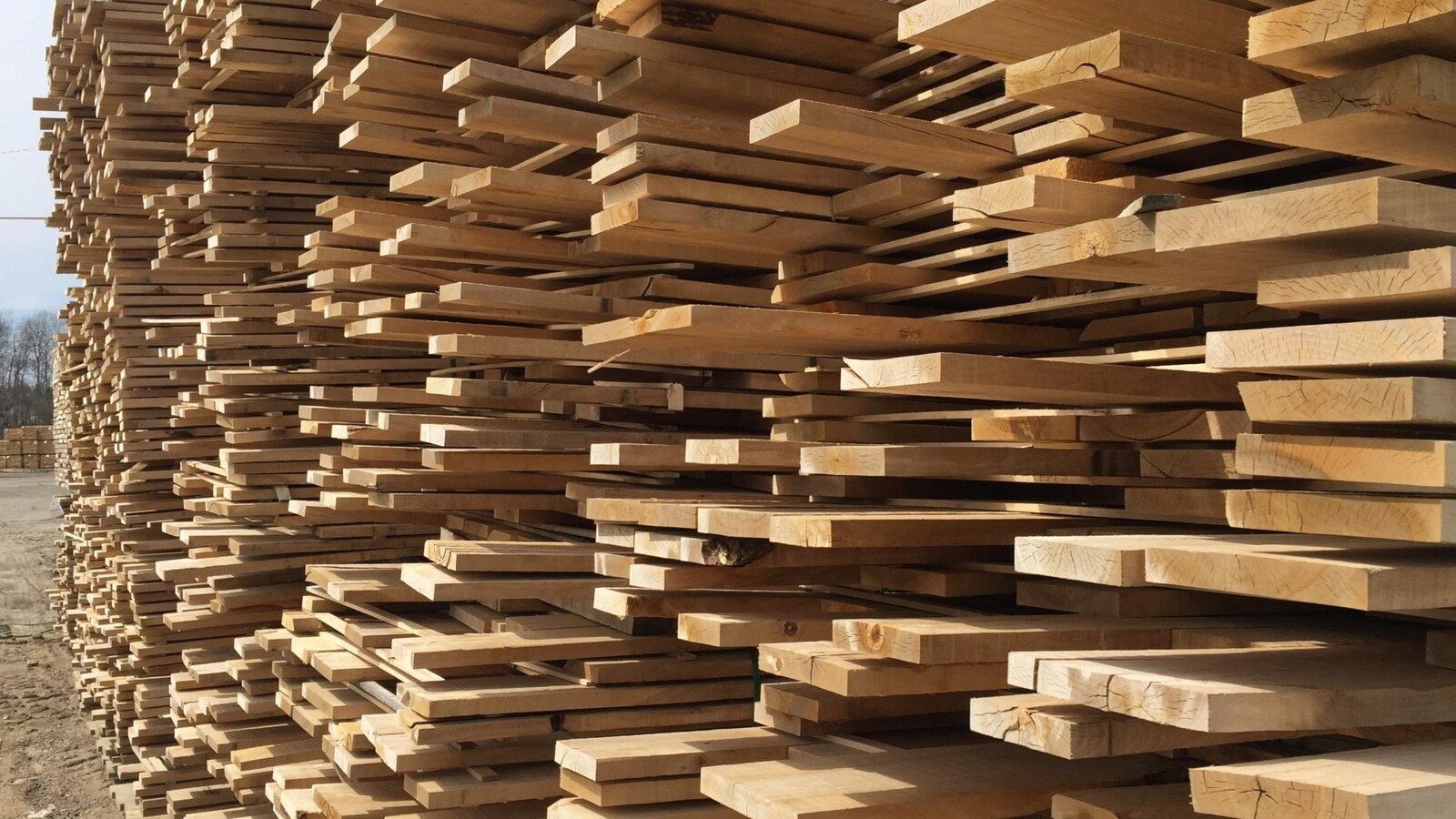 Les producteurs de bois des Hautes-Laurentides appréhendent une nouvelle crise forestière en raison des droits compensateurs imposés par les États-Unis.