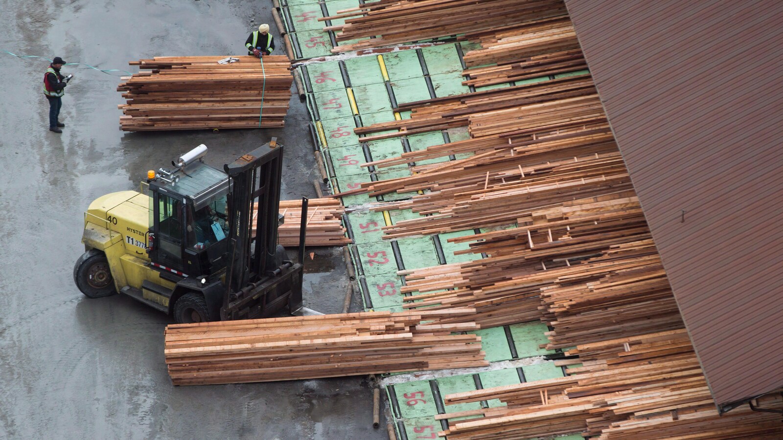 Les piles de bois scié sont assemblées à l'aide d'un gerbeur.