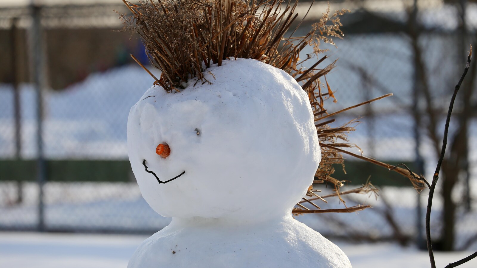 Un bonhomme de neige échevelé!