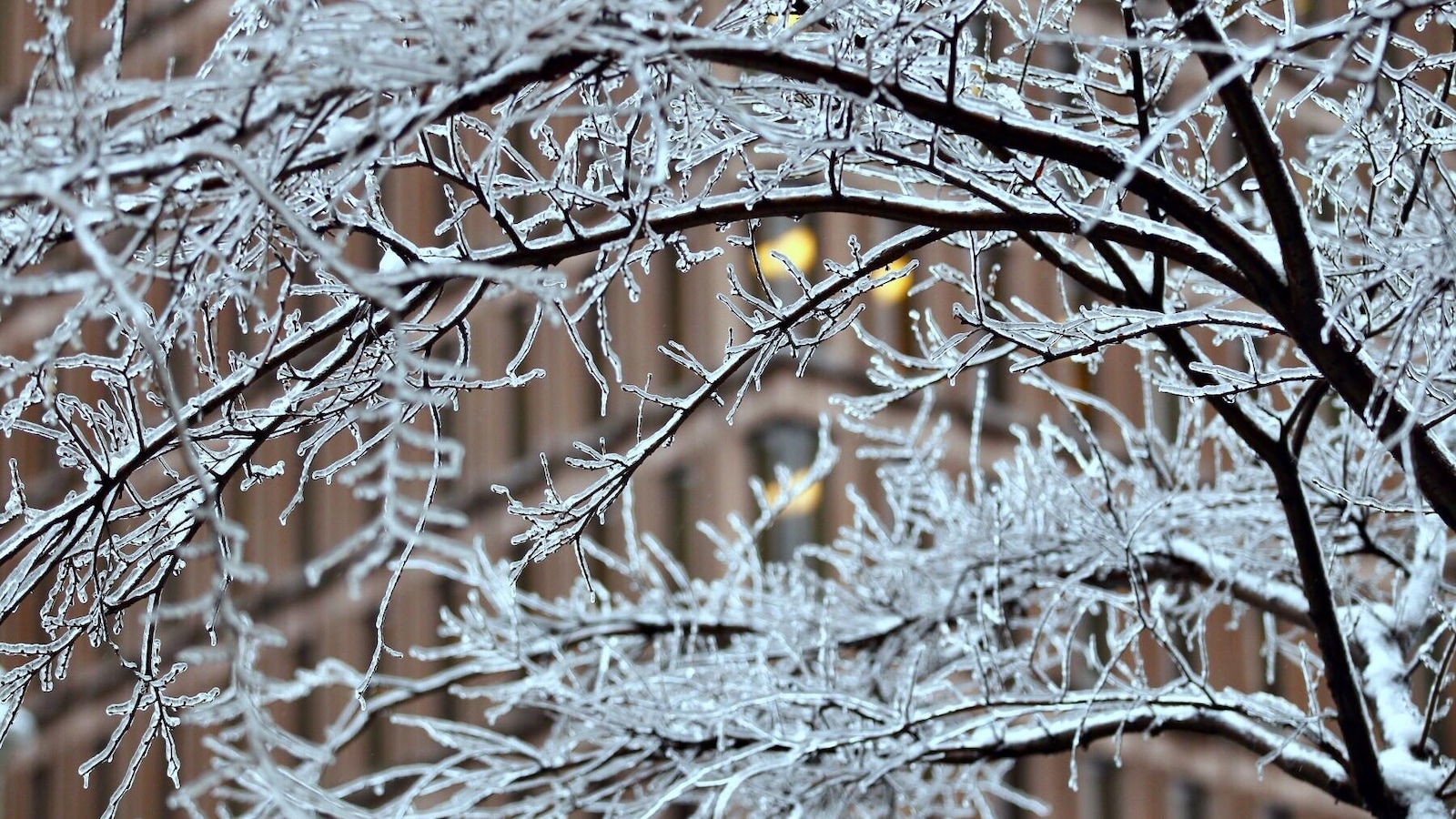 La pluie verglaçante revient dans une bonne partie du Québec ICI RadioCanada.ca