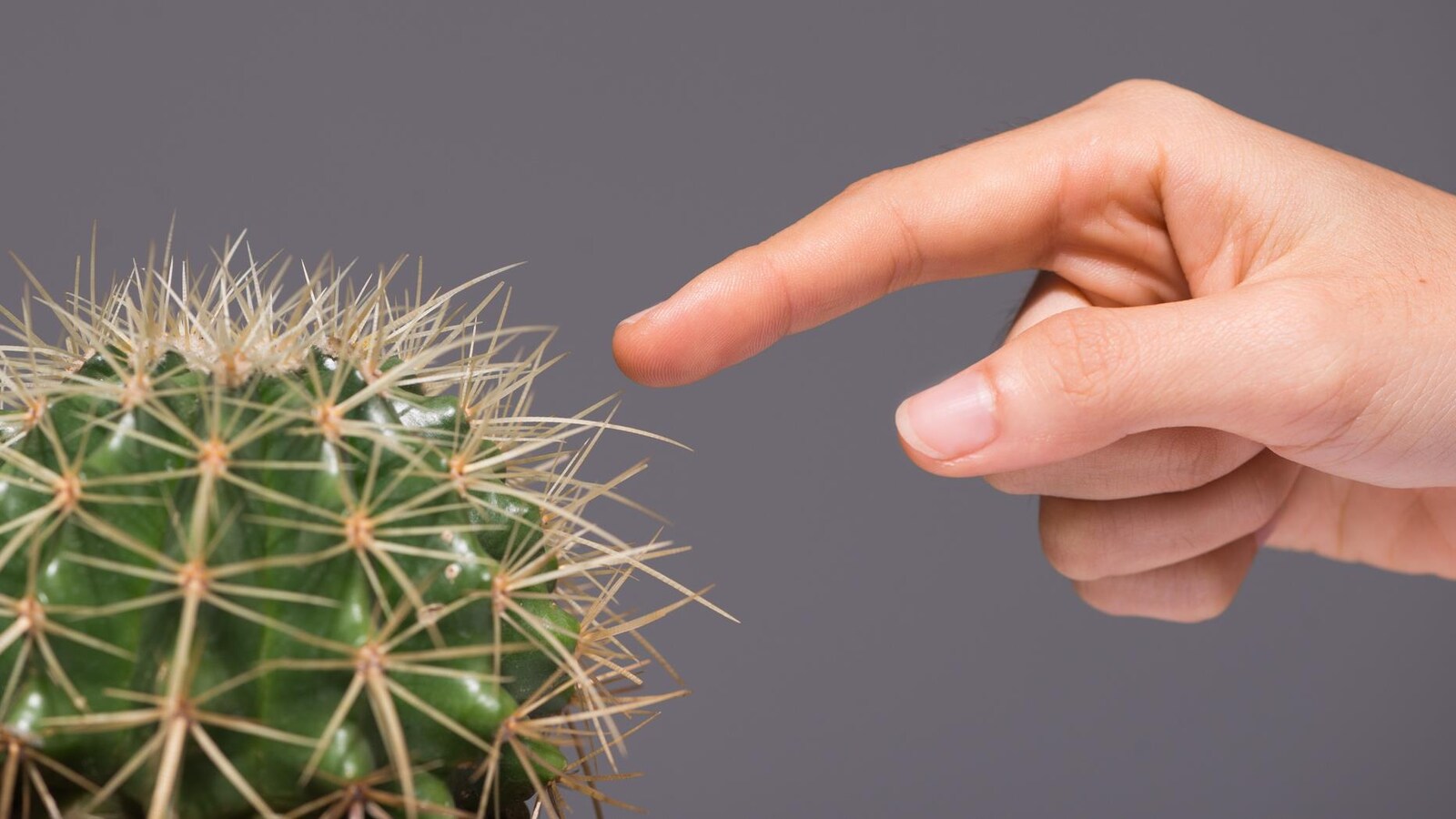 Une femme met le doigt sur une épine de cactus.