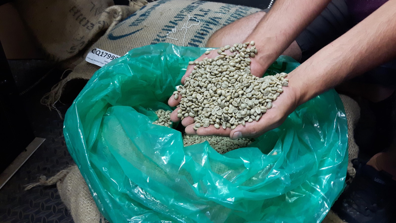 Des grains de café verts, prêts à être torréfiés