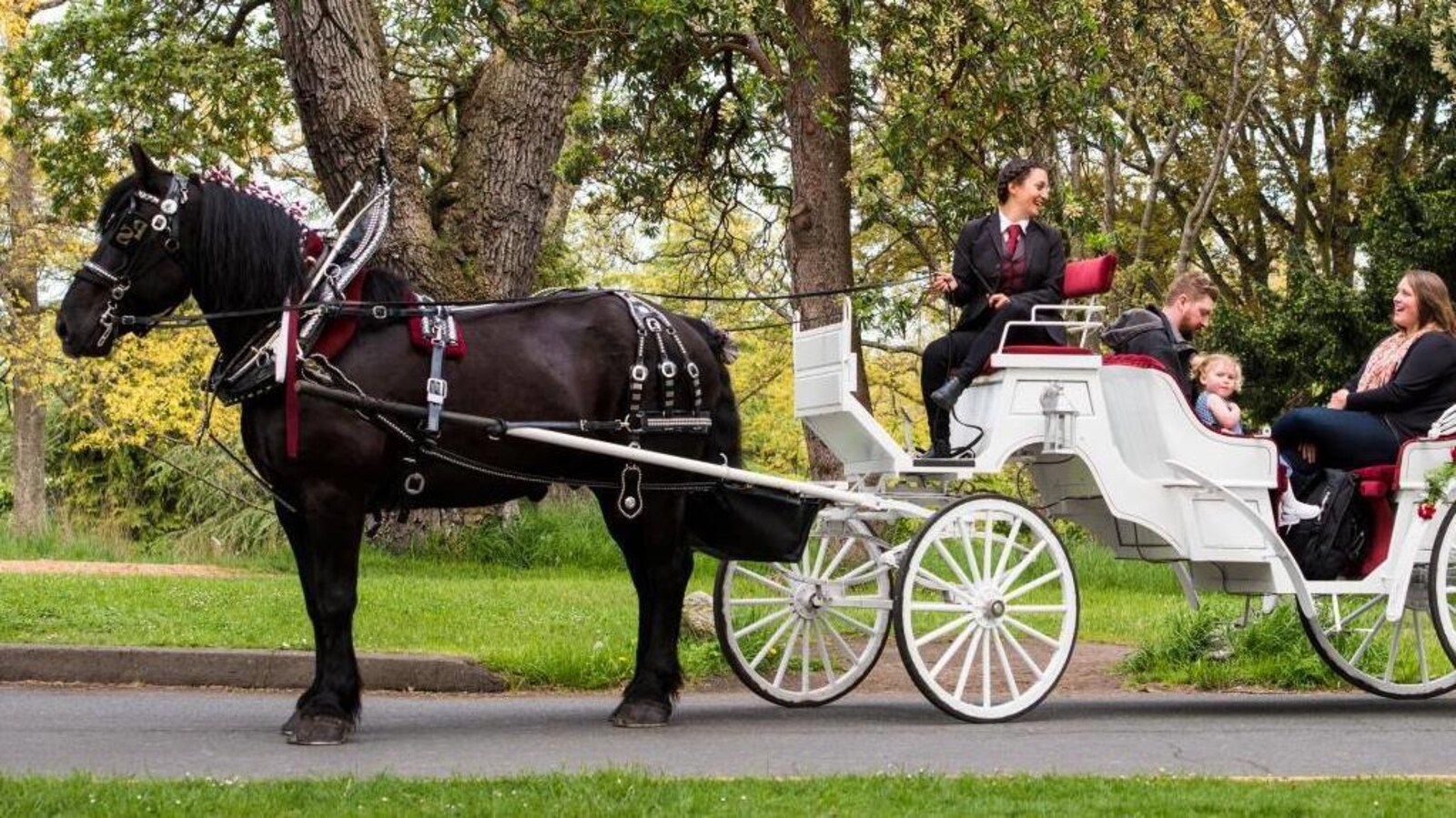 Une cochère discute avec des clients à bord d'une calèche tirée par un cheval.