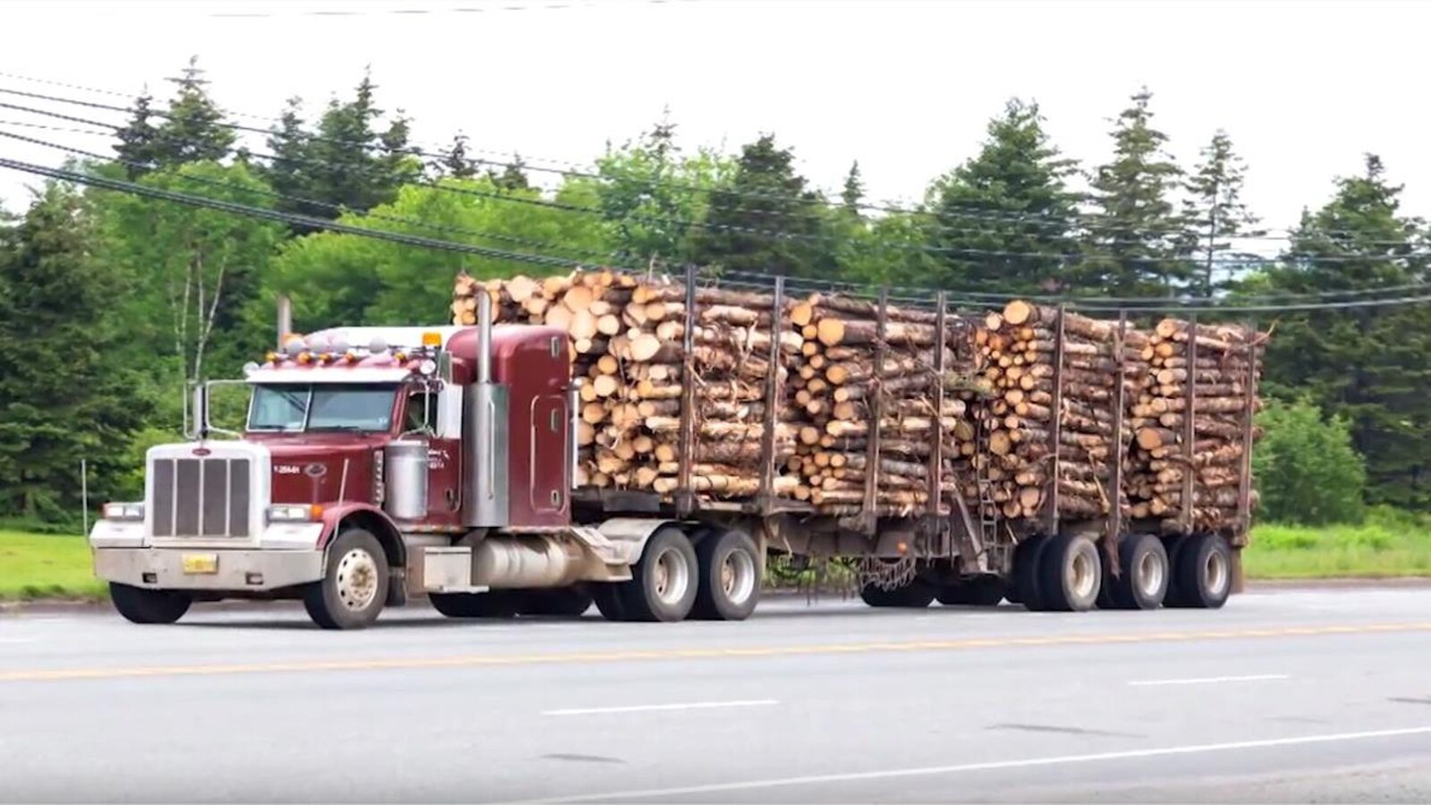 Un camion qui transporte du bois.