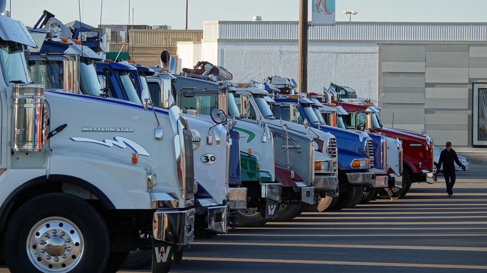 Des camions stationnés en rangée.